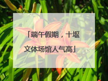 端午假期，十堰文体场馆人气高