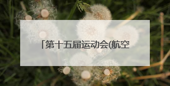 第十五届运动会(航空)模型预赛北川开赛 27支队伍竞逐蓝天