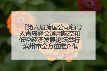 第六届跨国公司领导人青岛峰会通用航空和低空经济发展论坛举行 滨州市全方位推介低空经济发展优势
