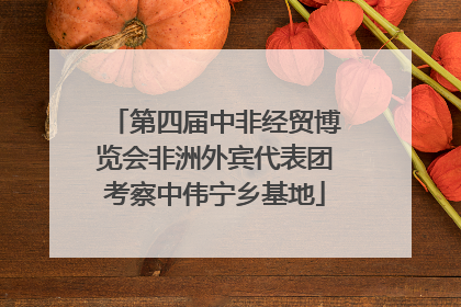 第四届中非经贸博览会非洲外宾代表团考察中伟宁乡基地