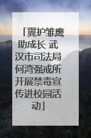 翼护雏鹰助成长 武汉市司法局何湾强戒所开展禁毒宣传进校园活动
