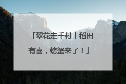 翠花走千村丨稻田有喜，螃蟹来了！