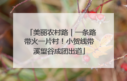 美丽农村路｜一条路带火一片村！小贺线带溪望谷成团出道