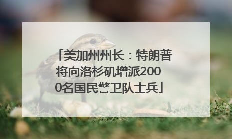 美加州州长：特朗普将向洛杉矶增派2000名国民警卫队士兵