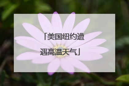 美国纽约遭遇高温天气