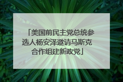 美国前民主党总统参选人杨安泽邀请马斯克合作组建新政党