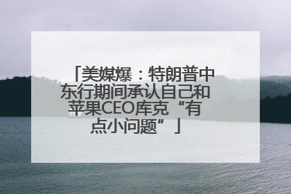 美媒爆：特朗普中东行期间承认自己和苹果CEO库克“有点小问题”