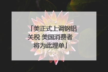 美正式上调钢铝关税 美国消费者将为此埋单