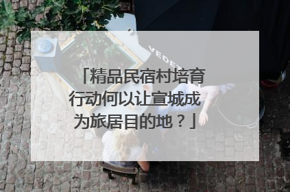 精品民宿村培育行动何以让宣城成为旅居目的地？