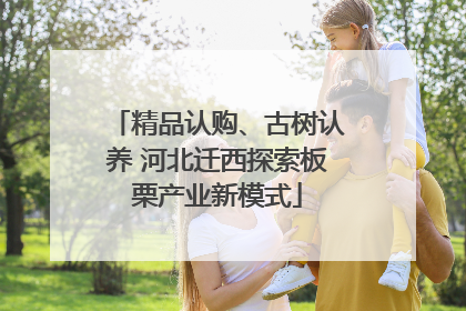 精品认购、古树认养 河北迁西探索板栗产业新模式
