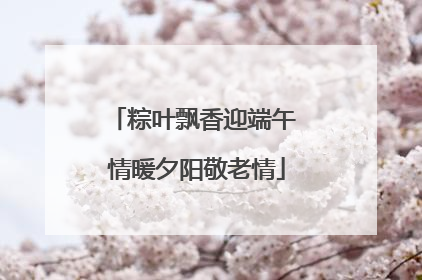 粽叶飘香迎端午 情暖夕阳敬老情