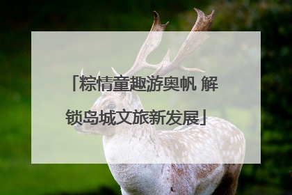 粽情童趣游奥帆 解锁岛城文旅新发展