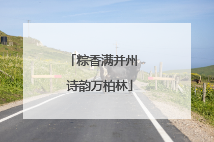 粽香满并州 诗韵万柏林