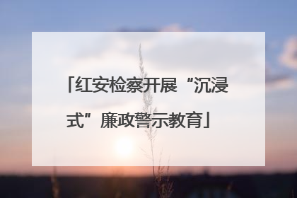 红安检察开展“沉浸式”廉政警示教育