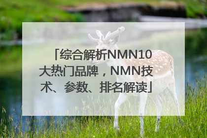 综合解析NMN10大热门品牌，NMN技术、参数、排名解读