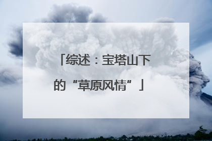 综述：宝塔山下的“草原风情”