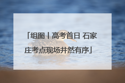 组图丨高考首日 石家庄考点现场井然有序