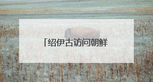 绍伊古访问朝鲜 将与金正恩会面