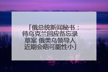 俄总统新闻秘书：待乌克兰回应备忘录草案 俄美乌领导人近期会晤可能性小