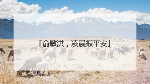 俞敏洪，凌晨报平安