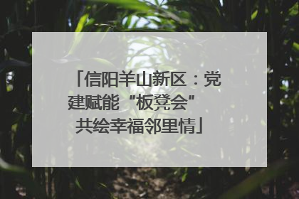信阳羊山新区：党建赋能“板凳会” 共绘幸福邻里情