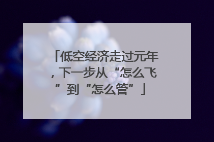 低空经济走过元年，下一步从“怎么飞”到“怎么管”