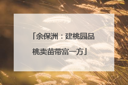 余保洲：建桃园品桃卖苗带富一方