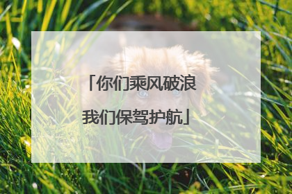 你们乘风破浪 我们保驾护航