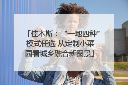 佳木斯：“一地四种” 模式任选 从定制小菜园看城乡融合新图景