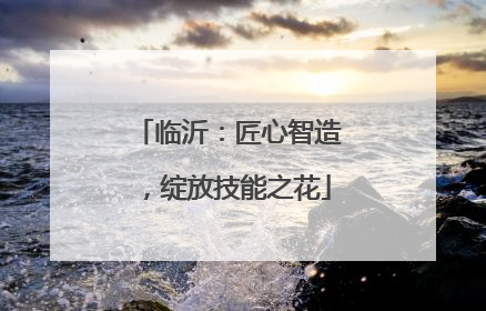 临沂：匠心智造，绽放技能之花