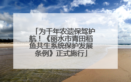 为千年农遗保驾护航！《丽水市青田稻鱼共生系统保护发展条例》正式施行
