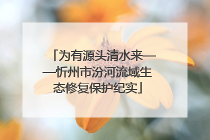 为有源头清水来——忻州市汾河流域生态修复保护纪实
