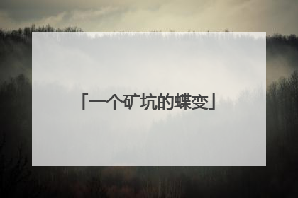 一个矿坑的蝶变