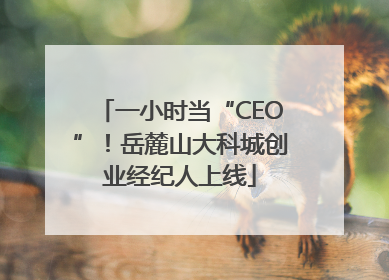 一小时当“CEO”！岳麓山大科城创业经纪人上线