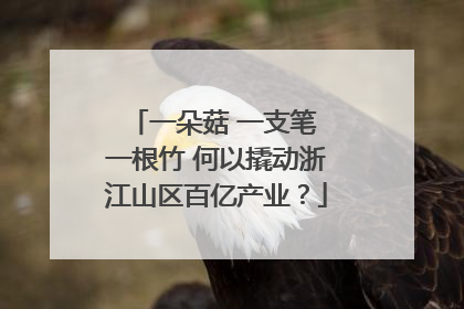 一朵菇 一支笔 一根竹 何以撬动浙江山区百亿产业？