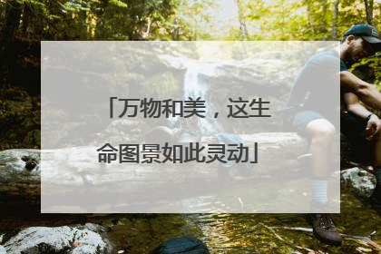 万物和美，这生命图景如此灵动