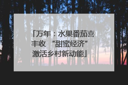 万年：水果番茄喜丰收 “甜蜜经济”激活乡村新动能