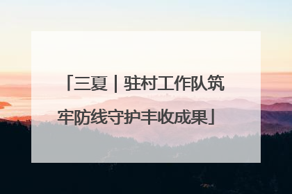 三夏｜驻村工作队筑牢防线守护丰收成果