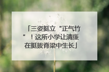 三姿挺立“正气竹”！这所小学让清廉在挺拔脊梁中生长