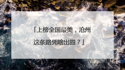 上榜全国最美，沧州这条路凭啥出圈？