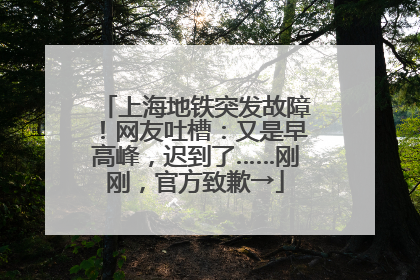 上海地铁突发故障！网友吐槽：又是早高峰，迟到了……刚刚，官方致歉→