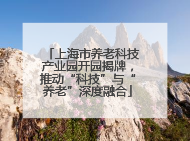 上海市养老科技产业园开园揭牌，推动“科技”与“养老”深度融合