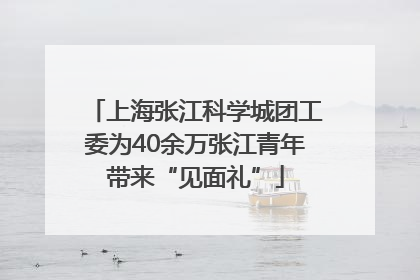上海张江科学城团工委为40余万张江青年带来“见面礼”