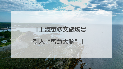 上海更多文旅场景引入“智慧大脑”