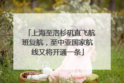 上海至洛杉矶直飞航班复航，至中亚国家航线又将开通一条