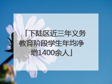 下陆区近三年义务教育阶段学生年均净增1400余人
