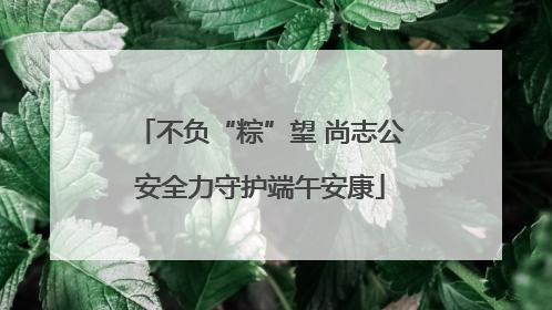 不负“粽”望 尚志公安全力守护端午安康