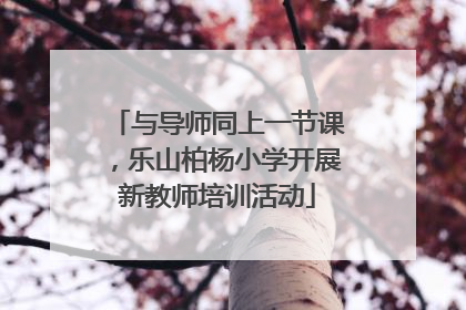 与导师同上一节课，乐山柏杨小学开展新教师培训活动