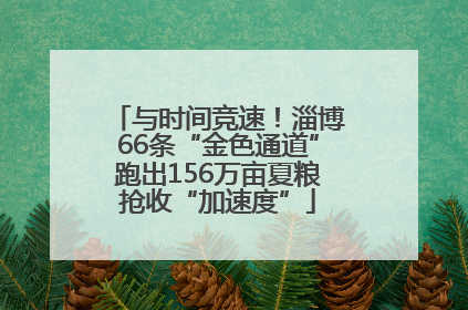 与时间竞速！淄博66条“金色通道”跑出156万亩夏粮抢收“加速度”