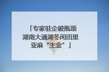 专家驻企破瓶颈 湖南大通湖冬闲田里亚麻“生金”